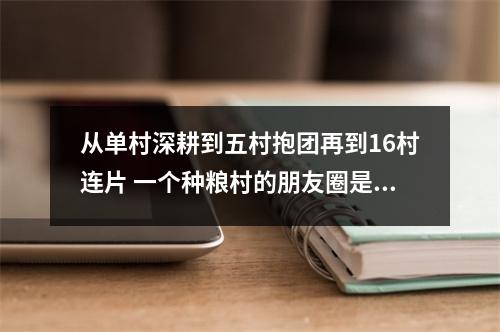 从单村深耕到五村抱团再到16村连片 一个种粮村的朋友圈是如何扩大的
