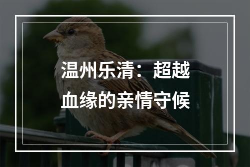 温州乐清：超越血缘的亲情守候