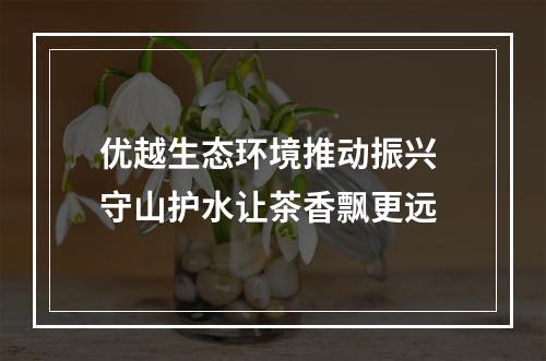 优越生态环境推动振兴 守山护水让茶香飘更远