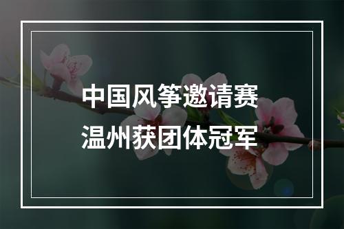 中国风筝邀请赛 温州获团体冠军