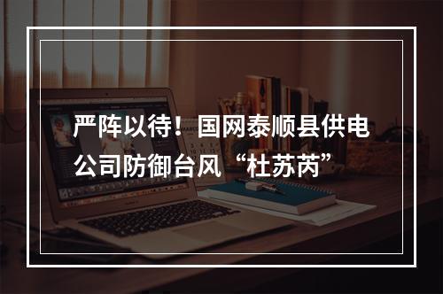 严阵以待！国网泰顺县供电公司防御台风“杜苏芮”