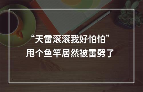 “天雷滚滚我好怕怕” 甩个鱼竿居然被雷劈了