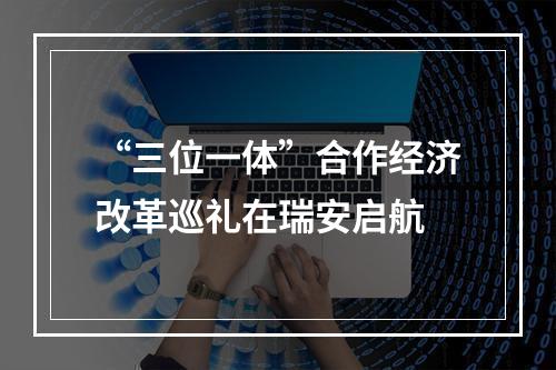 “三位一体”合作经济改革巡礼在瑞安启航