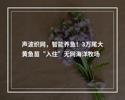 声波织网，智能养鱼！3万尾大黄鱼苗“入住”无网海洋牧场