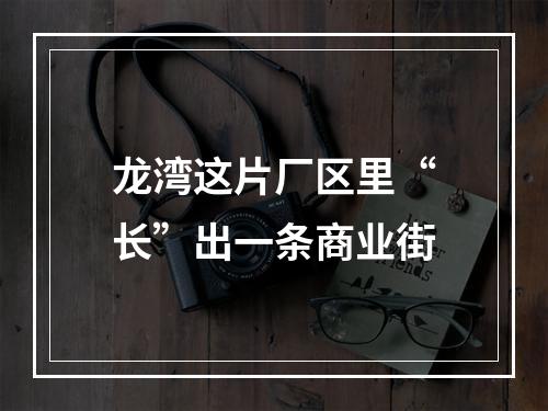 龙湾这片厂区里“长”出一条商业街