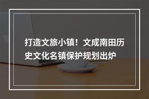 打造文旅小镇！文成南田历史文化名镇保护规划出炉