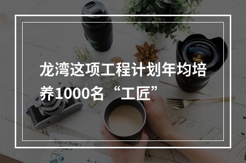 龙湾这项工程计划年均培养1000名“工匠”