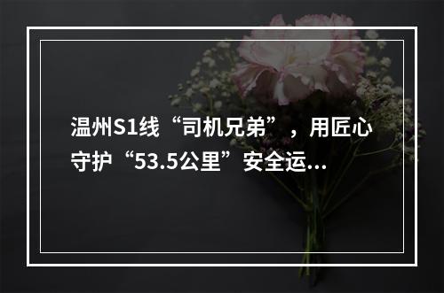 温州S1线“司机兄弟”，用匠心守护“53.5公里”安全运行