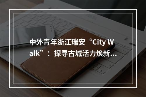 中外青年浙江瑞安“City Walk”：探寻古城活力焕新奥秘
