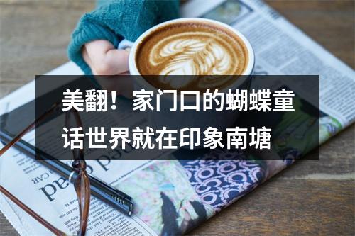 美翻！家门口的蝴蝶童话世界就在印象南塘