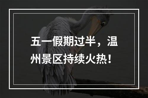 五一假期过半，温州景区持续火热！