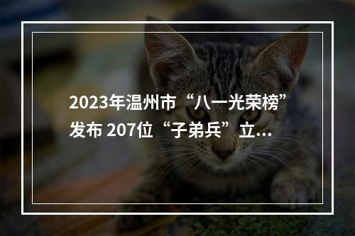2023年温州市“八一光荣榜”发布 207位“子弟兵”立功上榜