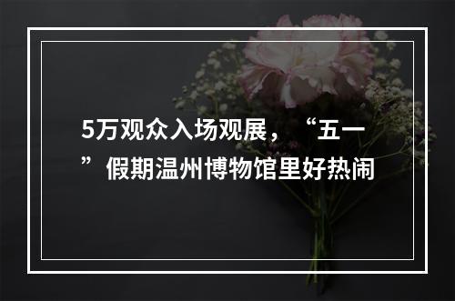 5万观众入场观展，“五一”假期温州博物馆里好热闹