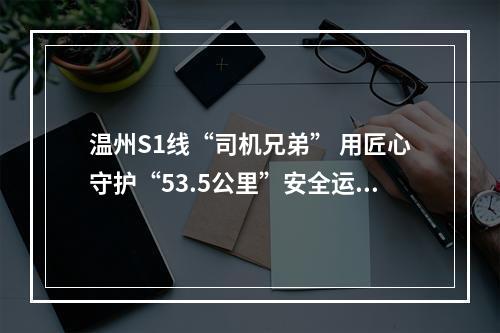 温州S1线“司机兄弟” 用匠心守护“53.5公里”安全运行