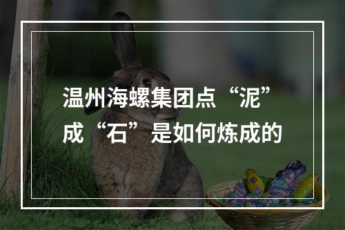 温州海螺集团点“泥”成“石”是如何炼成的