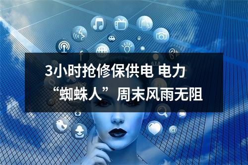 3小时抢修保供电 电力“蜘蛛人”周末风雨无阻