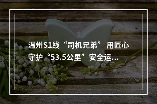 温州S1线“司机兄弟” 用匠心守护“53.5公里”安全运行