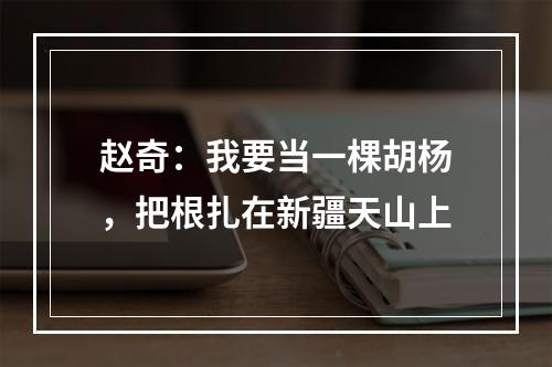 赵奇：我要当一棵胡杨，把根扎在新疆天山上