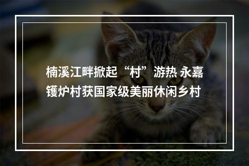 楠溪江畔掀起“村”游热 永嘉镬炉村获国家级美丽休闲乡村