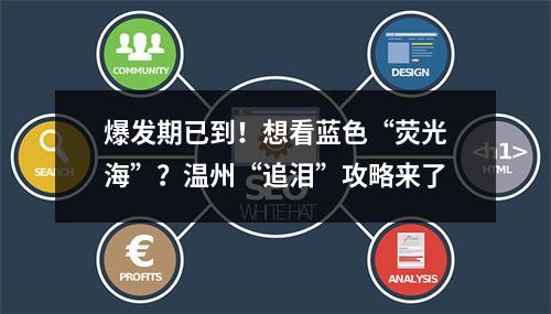爆发期已到！想看蓝色“荧光海”？温州“追泪”攻略来了