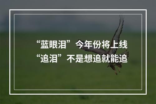 “蓝眼泪”今年份将上线 “追泪”不是想追就能追