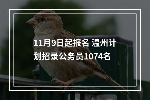 11月9日起报名 温州计划招录公务员1074名