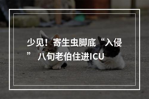 少见！寄生虫脚底“入侵” 八旬老伯住进ICU