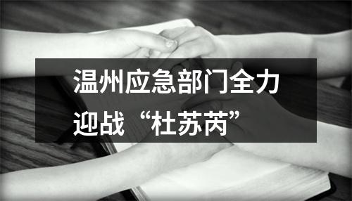 温州应急部门全力迎战“杜苏芮”