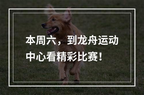 本周六，到龙舟运动中心看精彩比赛！