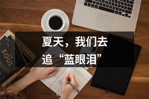 夏天，我们去追“蓝眼泪”