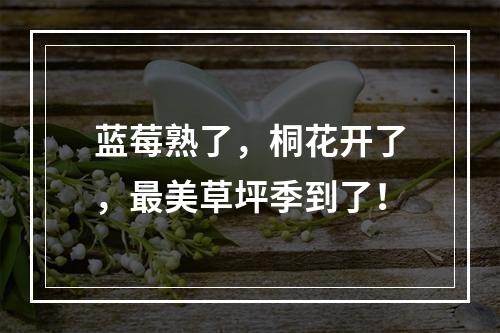 蓝莓熟了，桐花开了，最美草坪季到了！