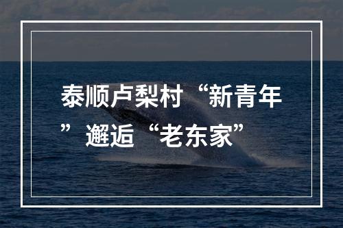 泰顺卢梨村“新青年”邂逅“老东家”