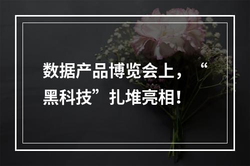 数据产品博览会上，“黑科技”扎堆亮相！