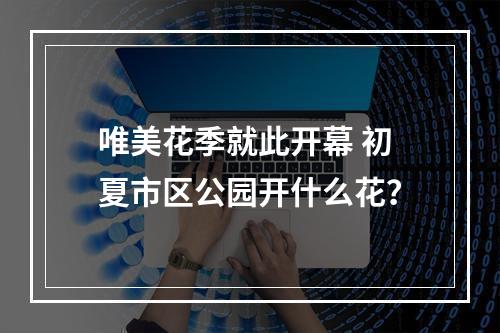 唯美花季就此开幕 初夏市区公园开什么花？