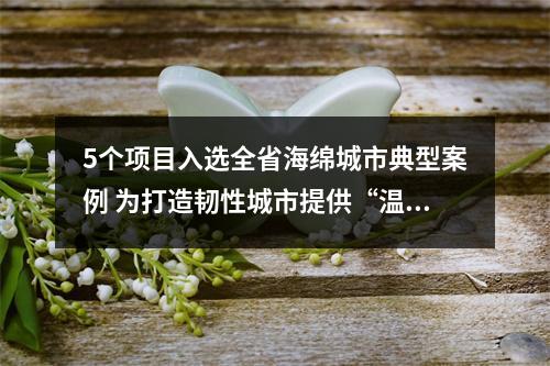 5个项目入选全省海绵城市典型案例 为打造韧性城市提供“温州样本”