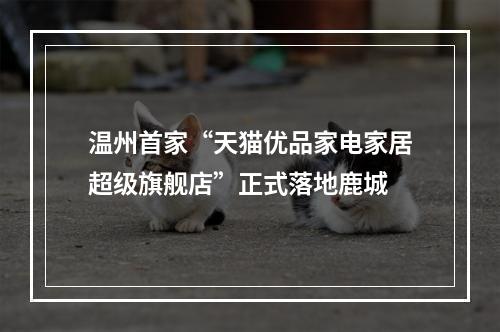 温州首家“天猫优品家电家居超级旗舰店”正式落地鹿城