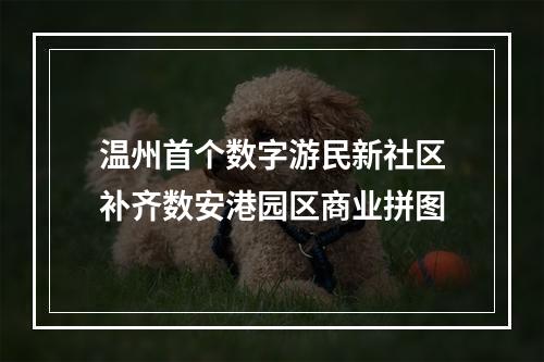 温州首个数字游民新社区补齐数安港园区商业拼图