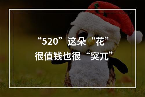 “520”这朵“花” 很值钱也很“突兀”