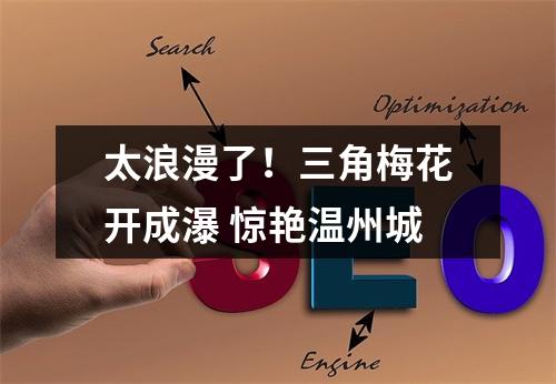 太浪漫了！三角梅花开成瀑 惊艳温州城