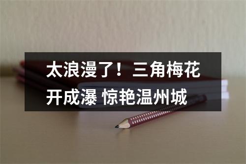 太浪漫了！三角梅花开成瀑 惊艳温州城