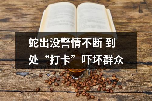 蛇出没警情不断 到处“打卡”吓坏群众