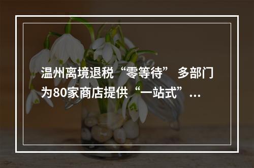 温州离境退税“零等待” 多部门为80家商店提供“一站式”解决方案