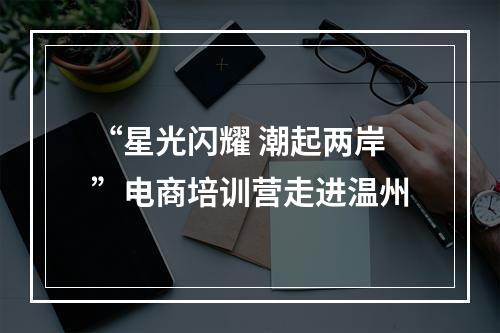 “星光闪耀 潮起两岸”电商培训营走进温州