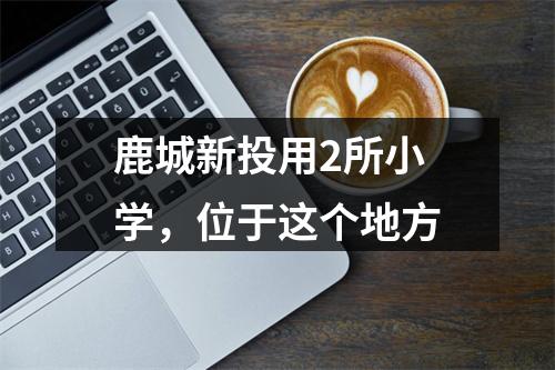 鹿城新投用2所小学，位于这个地方