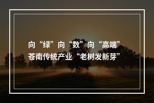 向“绿”向“数”向“高端” 苍南传统产业“老树发新芽”