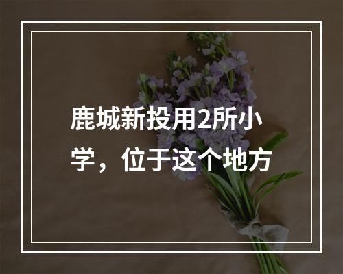 鹿城新投用2所小学，位于这个地方