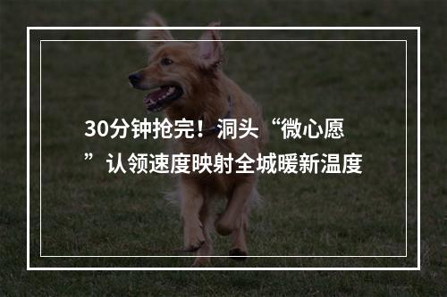 30分钟抢完！洞头“微心愿”认领速度映射全城暖新温度