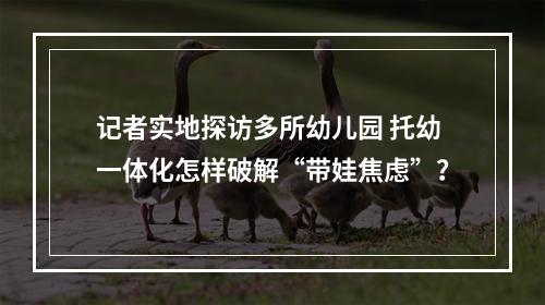 记者实地探访多所幼儿园 托幼一体化怎样破解“带娃焦虑”？