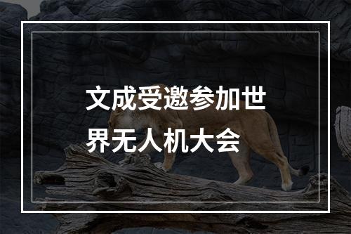 文成受邀参加世界无人机大会