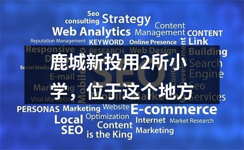 鹿城新投用2所小学，位于这个地方